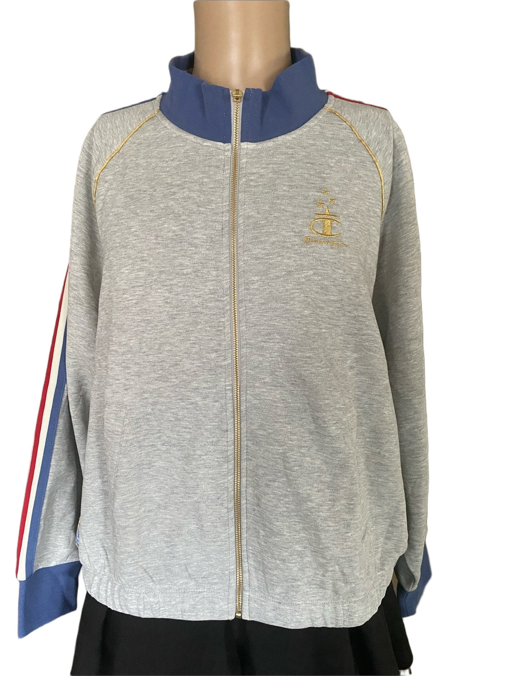 Champion nwt Light Gray USA Sweatshirt with Gold Embroidered Logo - Picture 1 of 10